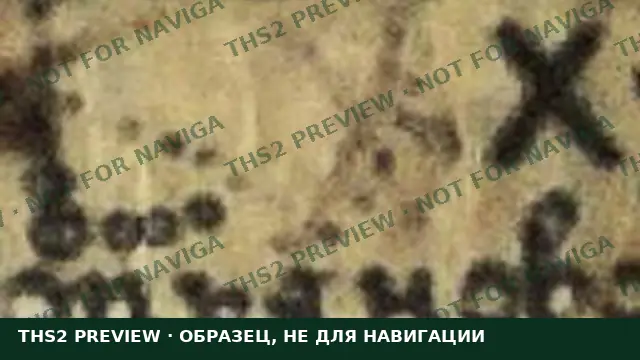Watermarked map sample