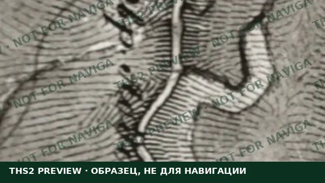 Watermarked map sample